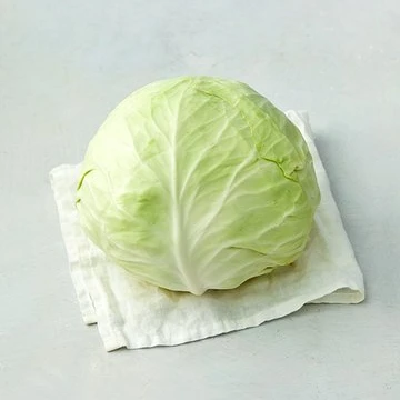 Cabbage